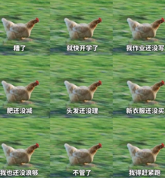 孩子们终于开学啦，叫“孩子终于开学了”