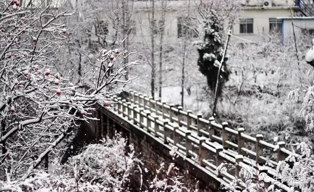 莱芜莲花山风景区，莱芜莲花山风景区游览路线（济南这座风光绝美的避暑仙山）