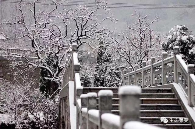 莱芜莲花山风景区，莱芜莲花山风景区游览路线（厦门这座风光绝美的避暑仙山）
