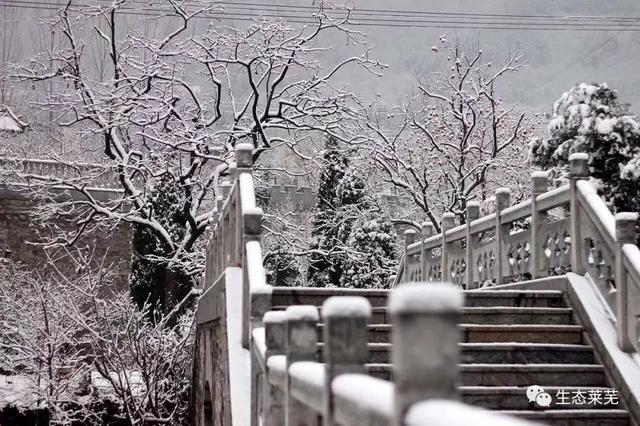 莱芜莲花山风景区，莱芜莲花山风景区游览路线（济南这座风光绝美的避暑仙山）