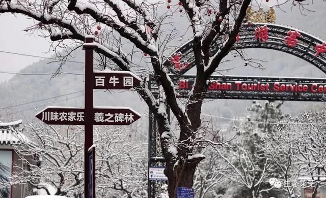 莱芜莲花山风景区，莱芜莲花山风景区游览路线（济南这座风光绝美的避暑仙山）