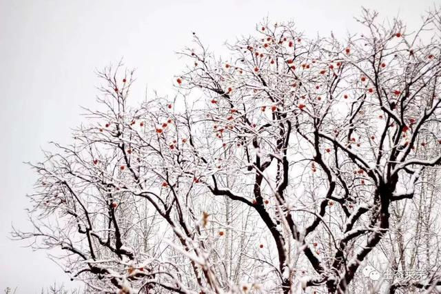 莱芜莲花山风景区，莱芜莲花山风景区游览路线（济南这座风光绝美的避暑仙山）