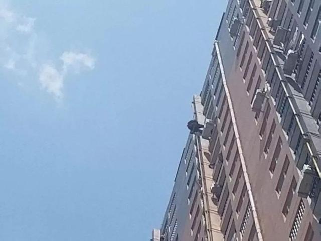 一般的房屋公摊面积是多少，公摊面积一般是百分之多少