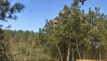 学浙江衢州话怎么说，你都能第一时间反应过来吗