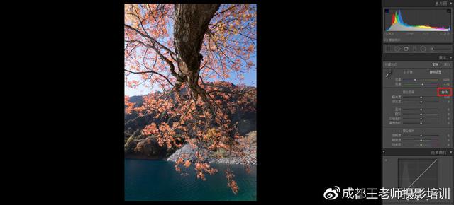 lr常用功能界面介绍，摄影后期Lr上不起眼却实用的功能