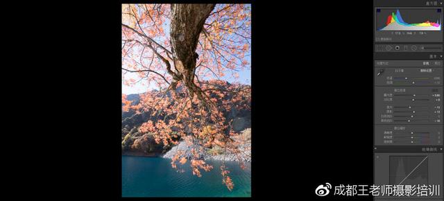 lr常用功能界面介绍，摄影后期Lr上不起眼却实用的功能