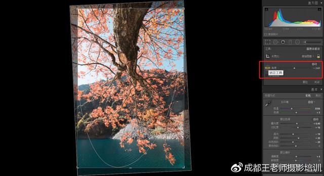 lr常用功能界面介绍，摄影后期Lr上不起眼却实用的功能