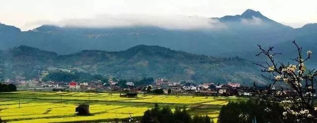 厦门景点鼓浪屿，厦门鼓浪屿，不想废腿一定要看