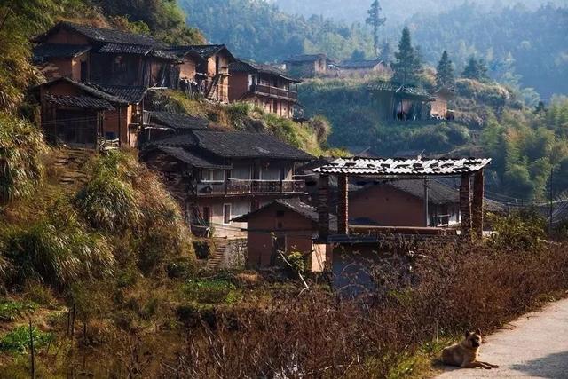 厦门景点鼓浪屿，厦门鼓浪屿，不想废腿一定要看