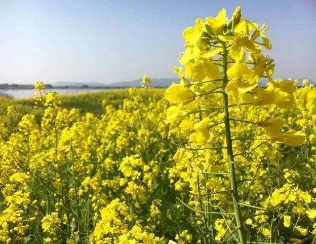 湖州原乡小镇旅游攻略，浙江湖州出发3天短途自驾游好去处推荐