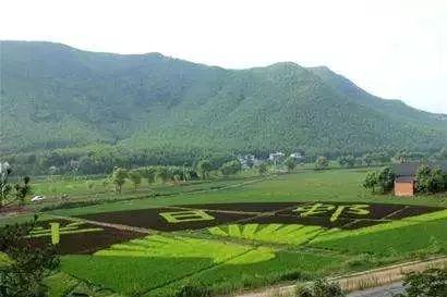 湖州原乡小镇旅游攻略，浙江湖州出发3天短途自驾游好去处推荐