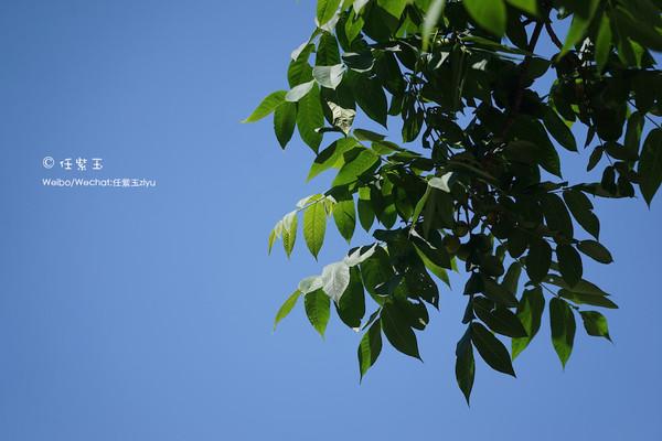 长白山夏季漂流去哪里建议收藏，雾灵西峰高山漂流