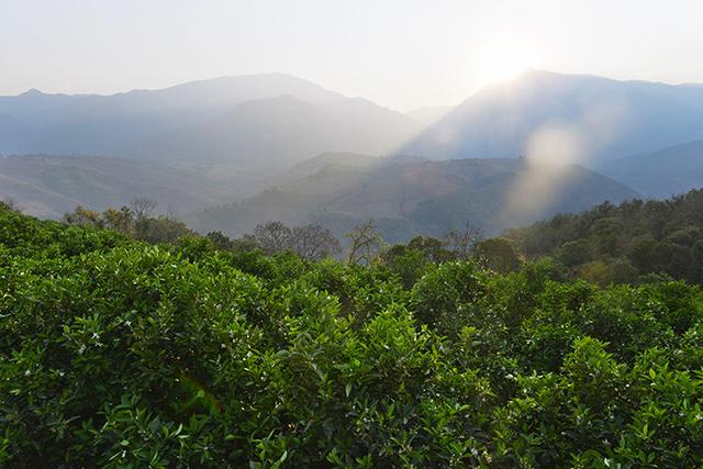 褚时健最经典语录，生于斯长于斯铭于斯