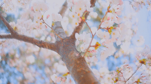 南昌适合踏青的地方，南昌50大春游好去处