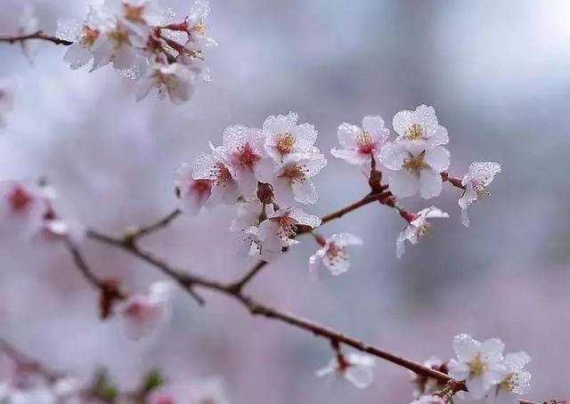 采石矶景点开放时间最新消息，马鞍山采石矶景区将启用北大门