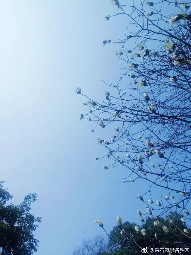 采石矶景点开放时间最新消息，马鞍山采石矶景区将启用北大门