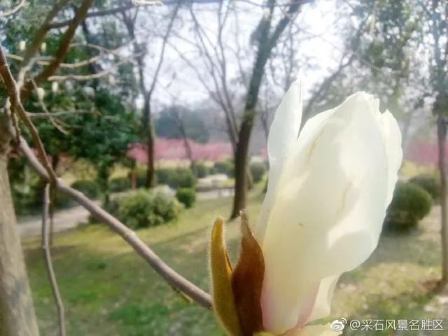 采石矶景点开放时间最新消息，马鞍山采石矶景区将启用北大门