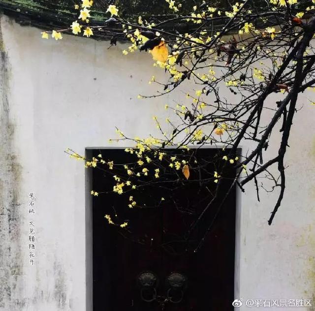 采石矶景点开放时间最新消息，马鞍山采石矶景区将启用北大门