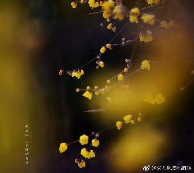 采石矶景点开放时间最新消息，马鞍山采石矶景区将启用北大门