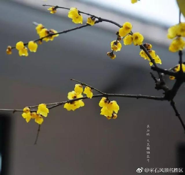 采石矶景点开放时间最新消息，马鞍山采石矶景区将启用北大门