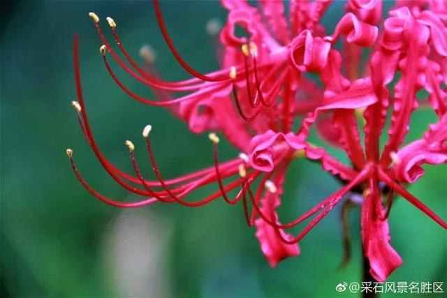 采石矶景点开放时间最新消息，马鞍山采石矶景区将启用北大门