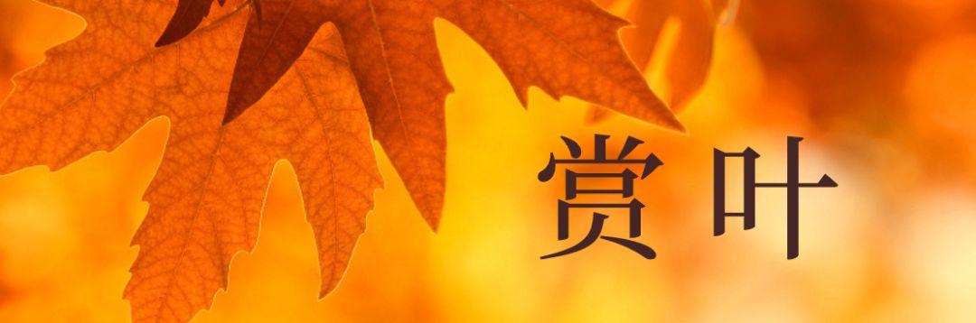 采石矶景点开放时间最新消息，马鞍山采石矶景区将启用北大门