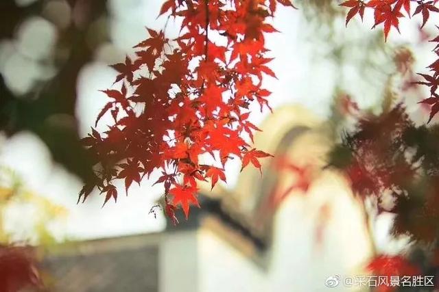 采石矶景点开放时间最新消息，马鞍山采石矶景区将启用北大门