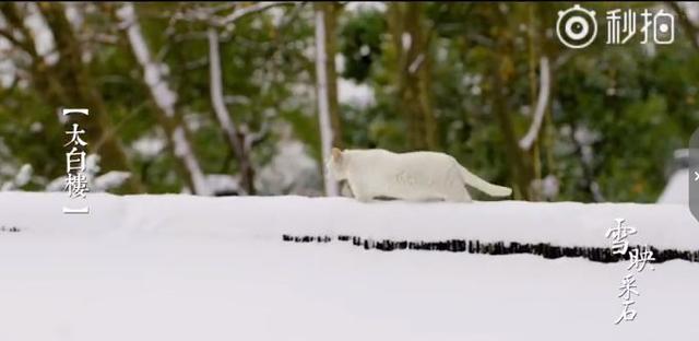 采石矶景点开放时间最新消息，马鞍山采石矶景区将启用北大门