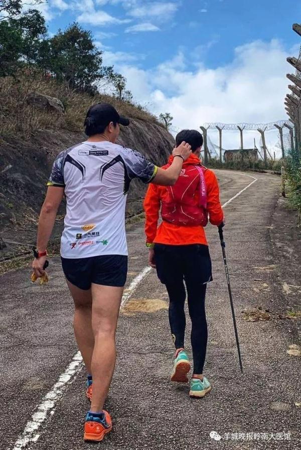 艾草肥胖(艾草能减肥吗怎么减肥)
