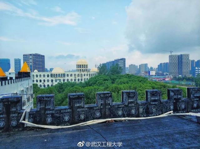 各地高校花式表白，黑龙江高校学子“花式”表白来啦
