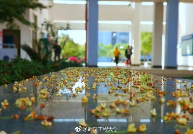 各地高校花式表白，黑龙江高校学子“花式”表白来啦