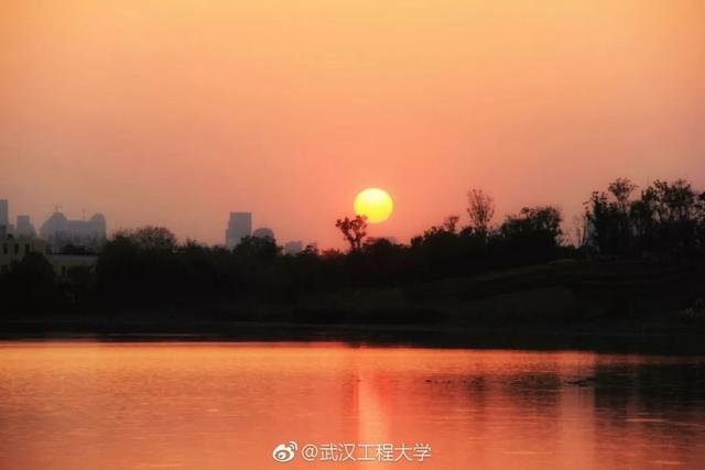 各地高校花式表白，黑龙江高校学子“花式”表白来啦