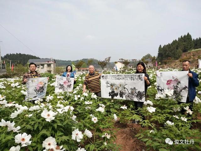 牡丹文化旅游展会，菏泽文化旅游亮相2022中国国际旅游交易会