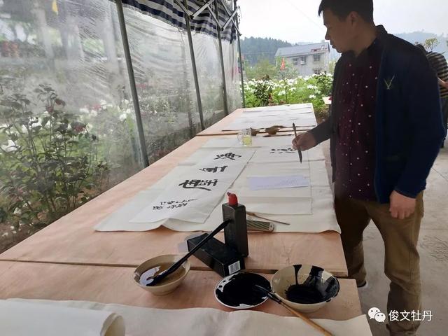 牡丹文化旅游展会，菏泽文化旅游亮相2022中国国际旅游交易会