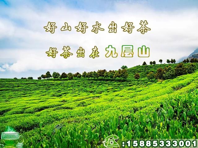 盘州哪里最值得游玩，就去盘州市看群星演唱会