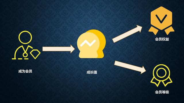 如何对不同会员级别进行用户画像，360度用户画像构建方法