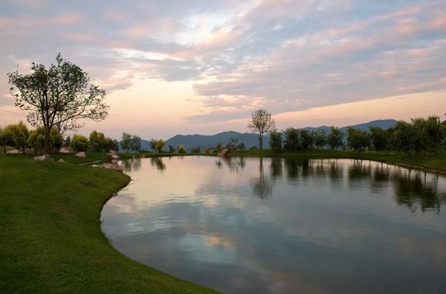 花都未来重点发展，权威发布这样的花都