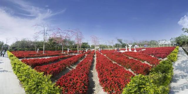 花都未来重点发展，权威发布这样的花都