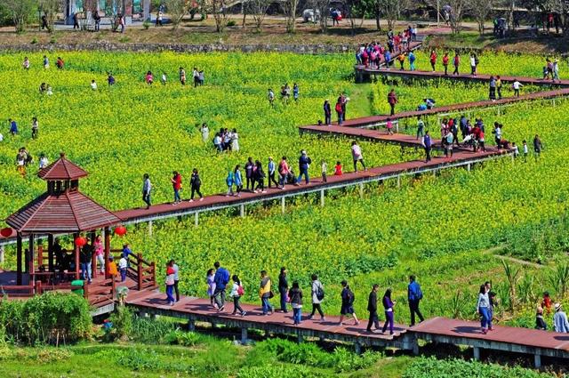 花都未来重点发展，权威发布这样的花都