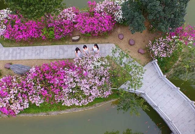 花都未来重点发展，权威发布这样的花都