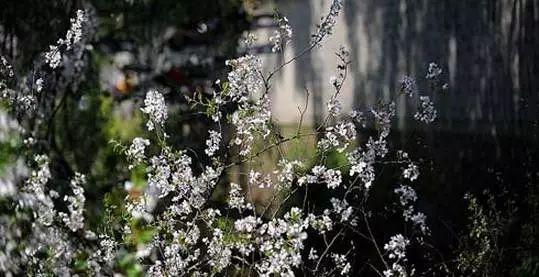 南昌适合踏青的地方，南昌50大春游好去处