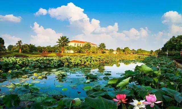 南昌适合踏青的地方，南昌50大春游好去处