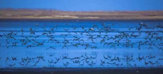 南昌适合踏青的地方，南昌50大春游好去处