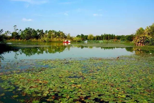 南昌适合踏青的地方，南昌50大春游好去处