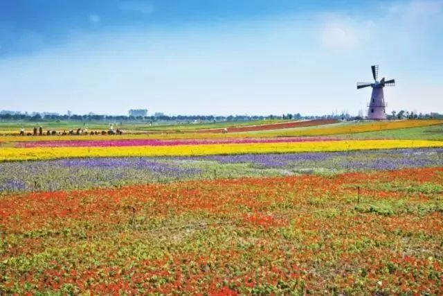 南昌适合踏青的地方，南昌50大春游好去处