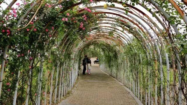 南昌适合踏青的地方，南昌50大春游好去处