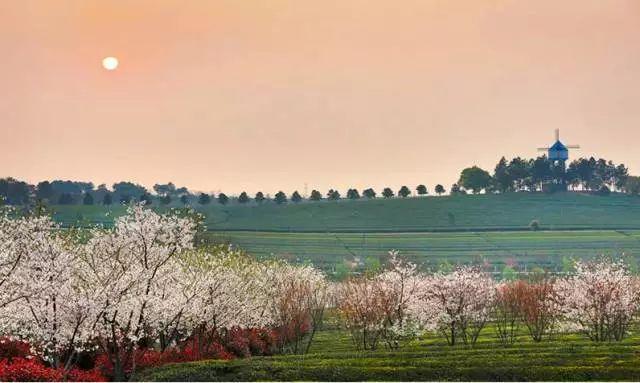 南昌适合踏青的地方，南昌50大春游好去处