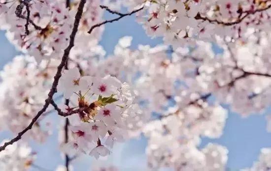 南昌适合踏青的地方，南昌50大春游好去处