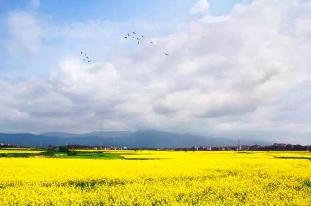 南昌适合踏青的地方，南昌50大春游好去处