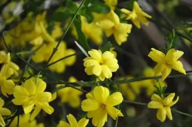 南昌适合踏青的地方，南昌50大春游好去处